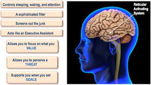 How To Get What You Want Your Reticular Activation System Charles Leon