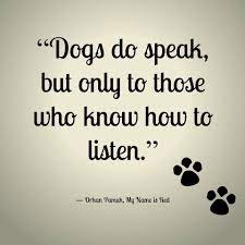 To Have A Dog You Must Love Dogs Dog Quotes I Love Dogs Animal Quotes
