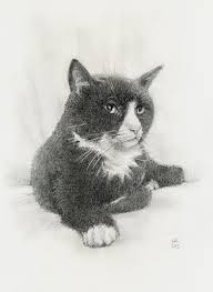 Then you'll really love this vid on drawing a realistic, very detailed cat portrait. 1001 Ideas And Inspiration On How To Draw Animals