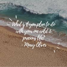 Poem The Summer Day By Mary Oliver Zoey Ryan Thoughts