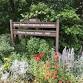 Second Saturday monthly volunteering at the E. Jane Weber Arboretum — Lower Columbia Nature Network