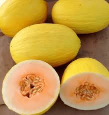 Keep seedling evenly moist for best growth. Lesser Known Health Benefits Of Crenshaw Melon Boldsky Com