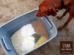 If your flock spends most of their time foraging, you may not need to feed them quite this much food. How To Make Chicken Feed For Layers 17 5 Nutrient Rich And Non Gmo