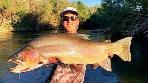 Wow Idaho Man Catches Record Setting Yellowstone Cutthroat Trout Kboi Cutthroat Trout Trout Yellowstone