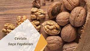 cevizin saca faydalari nelerdir ve nasil kullanilir faydalari zararlari