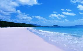 There are 52 apple beach wallpapers published on this page. Free Download Apple Wallpapers Mac Summer Beach Wallpaper Whitehaven Beach 1920x1200 For Your Desktop Mobile Tablet Explore 44 Apple Beach Wallpaper Beach Desktop Wallpapers And Backgrounds 1280x1024 Beach Wallpaper