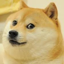 Discover 78 free doge meme png images with transparent backgrounds. Doge Meme Generator Imgflip