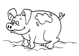 Malvorlage Schwein Kostenlose Ausmalbilder Zum Ausdrucken