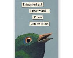 Pin On Animal Pet Art