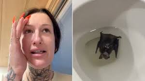 Chicago Med's S. Epatha Merkerson Promises More Romance for Sharon