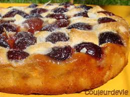 Dsc01378 Clafoutis Aux Quetsches Thermomix Recette Thermomix