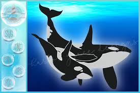 Free Free 276 Baby Whale Svg Free SVG PNG EPS DXF File
