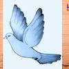 Add feathers to to your bird. Https Encrypted Tbn0 Gstatic Com Images Q Tbn And9gcs9mh4u2hudr Mg6x3sm2ll1h5tevb6q Tetolu Qhtrglso En Usqp Cau