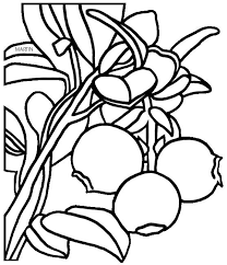 We have simple images for younger coloring fans and advanced images for adults to enjoy. Coloring Pages Coloring Pages Cranberry Printable For Kids Adults Free To Download