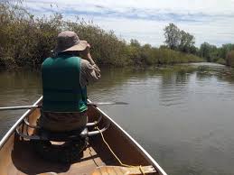U.S., Canadian researchers conduct binational birds conservation research