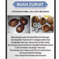 Buah zuriat merupakan panggilan kepada sejenis buah yang nama saintifiknya ialah hyphaene thebaica. Pengobatan Dan Khasiat Herbal Khasiat Buah Zuriat