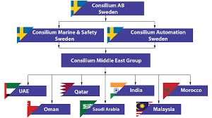 Consilium Organizational Structure Of Consilium Middle East