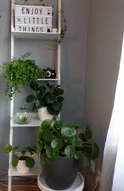 intratuingroeneoase mijn favoriete hoekje in huis huis inrichting decoratie planten slaapkamer planten
