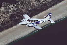 Image result for Piper