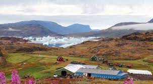 Grönland ist die größte insel der erde und ist zu ca. Reiseinformationen Gronland Island Tours Gmbh