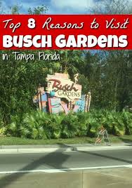 Florida Theme Parks Top 8 Reasons To Visit Busch Gardens Tampa Florida Busch Gardens Tampa Florida Theme Parks Busch Gardens