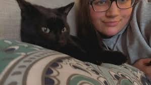 Lost blind and deaf dog found in Danville