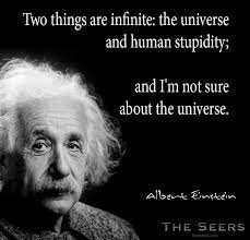 A little knowledge is dangerous. Two Things Are Infinite The Universe And Human Stupidity And I M Not Sure About The Universe Albert Einstein Th Einstein Human Stupidity Einstein Quotes