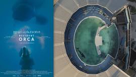 Orca Action Month Film Series: Resident Orca