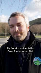@RSPBScotland's video Tweet