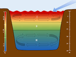 Thermal Stratification