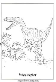 Creative And Great Coloring Drawings Velociraptor Picture Velociraptor Dinosaur Coloring Pages Cool Coloring Pages Dinosaur Coloring Sheets