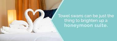 The towel should now look like this. Unique Ways To Fold Your Hotel Towels Towel Supercenter
