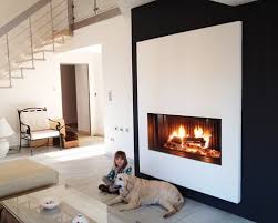 So you have a compact, modern. Wittus Fire By Design Contemporary Wood Stoves And Fireplaces