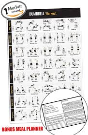 Dumbbell Workout Exercise Poster Home Gym Fitness Workouts New Year Goals Build Core Muscle Lose Fat Fitness Strength Training Poster Workout