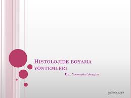 Histolojide Boyama Yontemleri