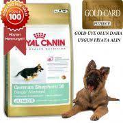 german shephard junior yavru alman kurtlarina ozel kopek mamasi 12 kg royal canin 171 00 tl 162 45 tl 5 havale indirimi kopek kurt