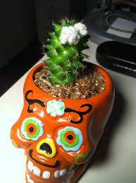 Be the first to review trader joe's cactus plant reviews cancel reply. Cactus With A White Growth Gardening Landscaping Stack Exchange