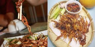 Mình hay gọi vui cần thơ là thành phố miệt vườn. Top 21 Mon Äƒn Ngon Nháº¥t Cáº§n ThÆ¡ Khong Thá»ƒ Bá» Qua Mon Ngon