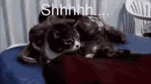 Shh Just Let It Happen Gifs Tenor