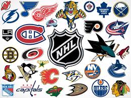 Pin By Sarah Emma On Por Si Acaso In 2020 Hockey Logos Nhl Logos Nhl Hockey Jerseys