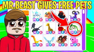 The best place online to buy the pets you want in adopt me. Scy3jzcwt2sgnm