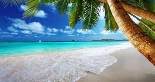 Lucia wallpaper, wallpaper with water, on the beach pictures, best beach image, wallpaper seychelles, beach new, aruba. 4k Beach Wallpapers Top Free 4k Beach Backgrounds Wallpaperaccess