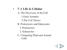 Organelles are structures that perform specific functions for the cell. Ppt Cell Discovery Cells And Cell Functions Powerpoint Presentation Id 4227362