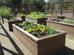 Do It Yourself Gardening With Raised Garden Beds Raised Garden Raised Vegetable Gardens Above Ground Garden