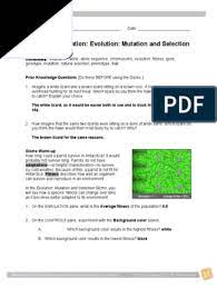 Student exploration natural selection gizmo answer key pdf best 2020 cell types gizmos answer key. Student Exploration Evolution Mutation And Selection Gizmo Answers Fitness Biology Allele