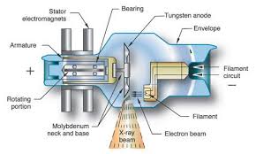 Chapter 6 Study Guide X Ray Tube X Ray Radiology Student