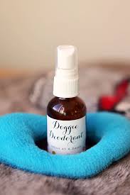 Mix everything together in your spray bottle and give it a shake. Stinky Dog Spray Party Inspiration