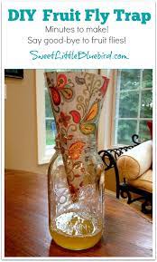 Diy Fruit Fly Trap Diy Fruit Fly Trap Fruit Fly Trap Fruit Flies