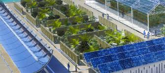 What do koalas like to eat? Camel Nostrils Inspire Desert Greenhouse