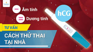 Bản chất của việc thử thai là phát hiện ra hormone hcg có trong nước tiểu. HÆ°á»›ng Dáº«n Cach Thá»­ Thai Táº¡i Nha Youtube